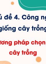 CN Trồng trọt - Bài 10. Phương pháp chọn, tạo giống cây trồng